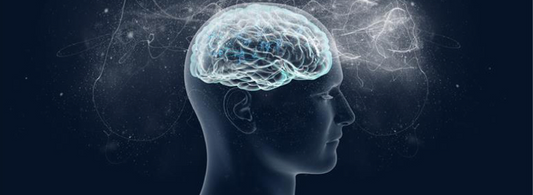 Creatine and Cognition