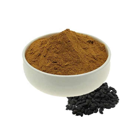 Glossy Privet Fruit Extract