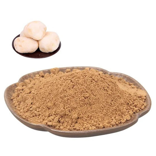 Lions Mane (Polysaccharides)