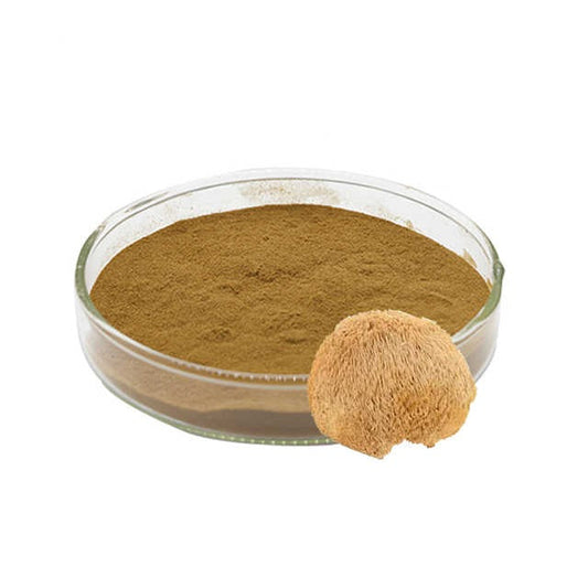 Lions Mane (Triterpenoids)