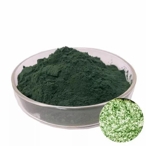 Chlorella