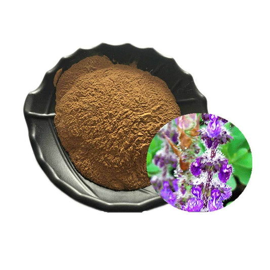 Coleus Forskohlii