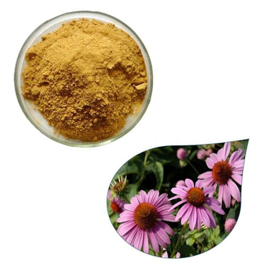 Echinacea 4%