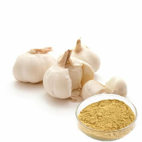 Garlic Powder