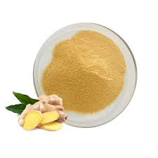 Ginger Root Extract