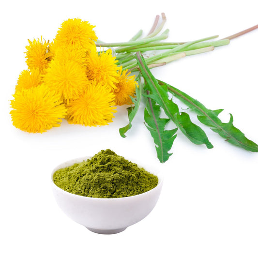 Dandelion